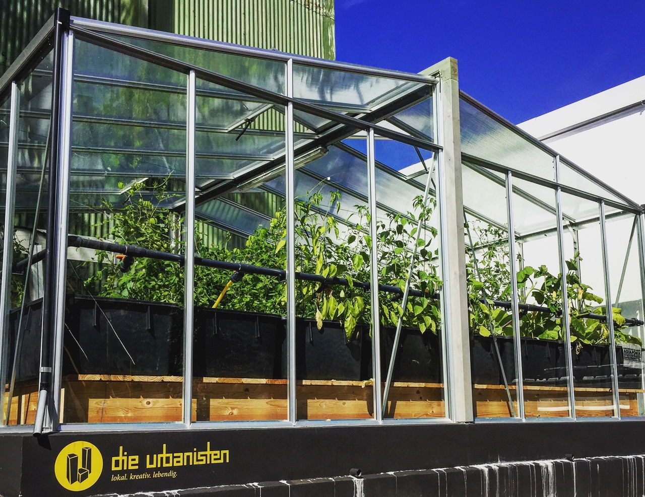 aquaponic greenhouse union gewerbehof