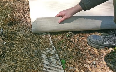 Arbeiten im Waldgarten unter erschwerten Bedingungen