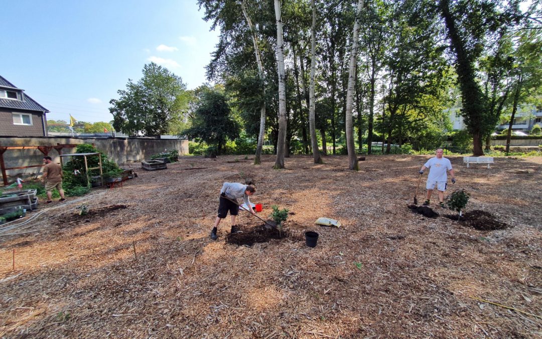 Pflanztage im Waldgarten