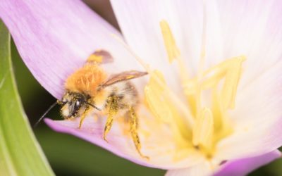 Naturfelder nimmt Fahrt auf!