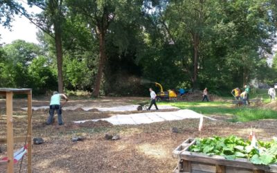 02.06.2021 Online-Infoabend zum Waldgarten St. Urbanus