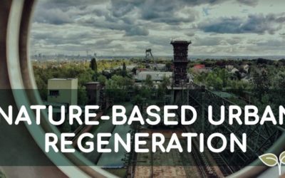 Online-Kurs Nature-based Urban Regeneration