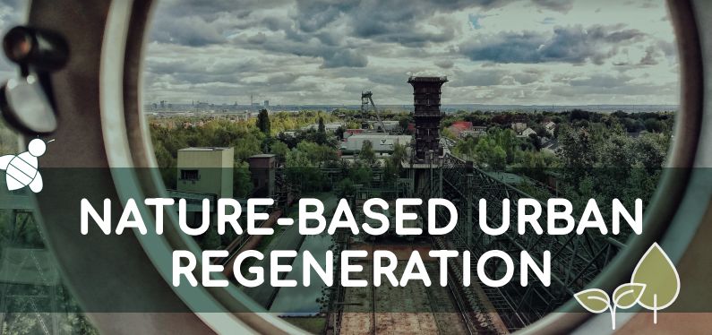 Online-Kurs Nature-based Urban Regeneration