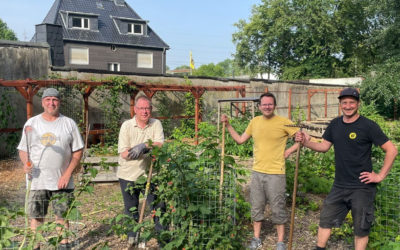 Neue Wege durch den Waldgarten